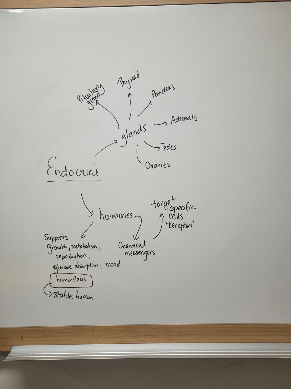 20260205_1315043280922158433381446