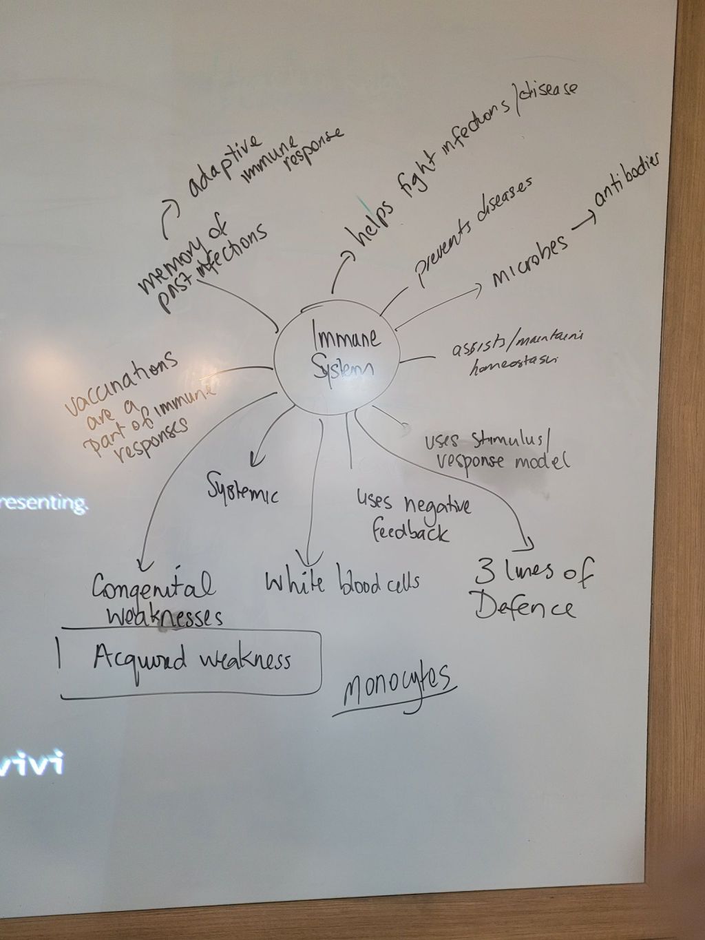 20260317_10484637331499792958352